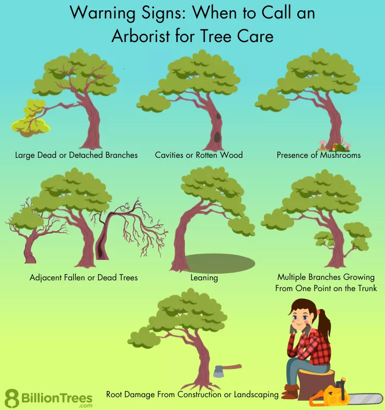 anderson tree service company