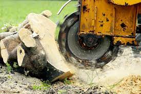tree service in anderson sc